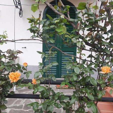 La Villa La Spezia Exteriér fotografie