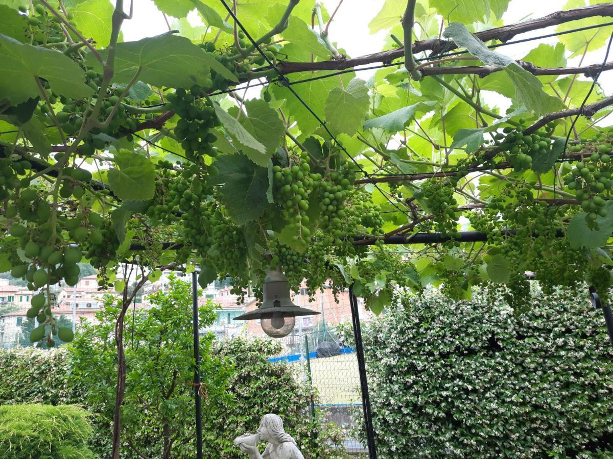 La Villa La Spezia Exteriér fotografie