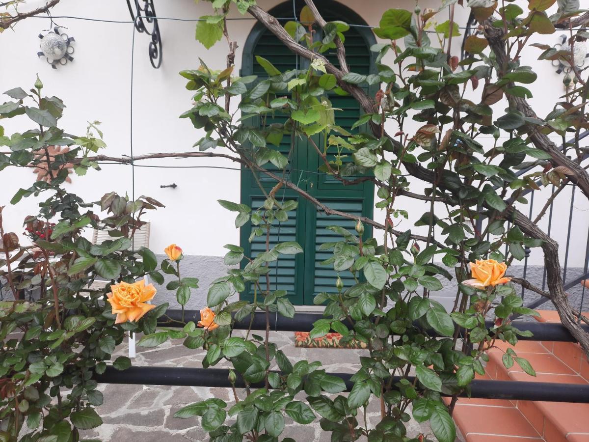 La Villa La Spezia Exteriér fotografie